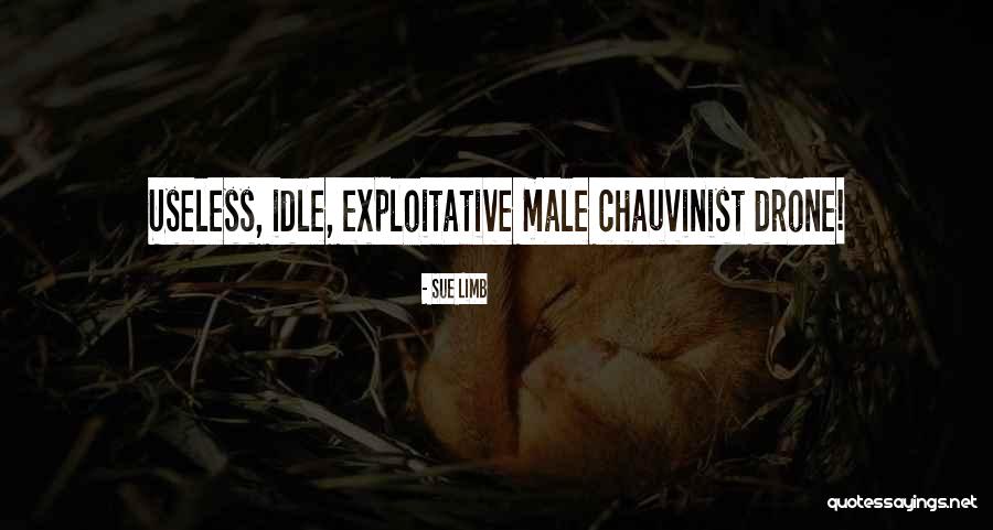 I Am A Male Chauvinist Quotes By Sue Limb I Am A Male Chauvinist Quotes By Sue Limb