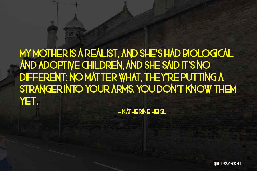 I Am A Realist Quotes By Katherine Heigl I Am A Realist Quotes By Katherine Heigl