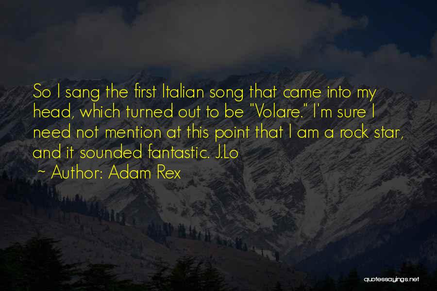 I Am A Rock Quotes By Adam Rex