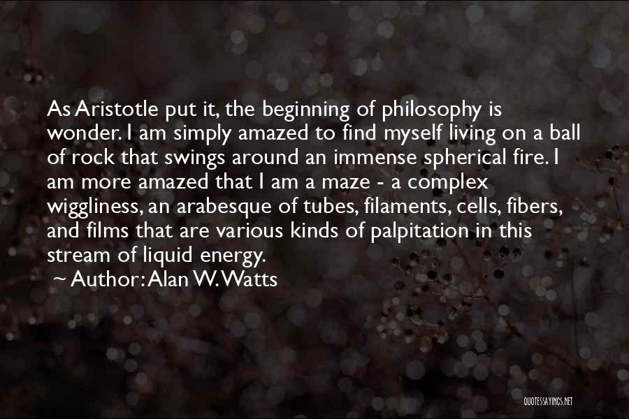 I Am A Rock Quotes By Alan W. Watts