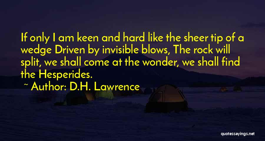 I Am A Rock Quotes By D.H. Lawrence