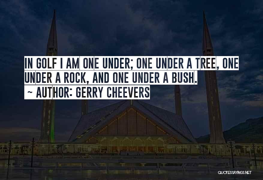 I Am A Rock Quotes By Gerry Cheevers