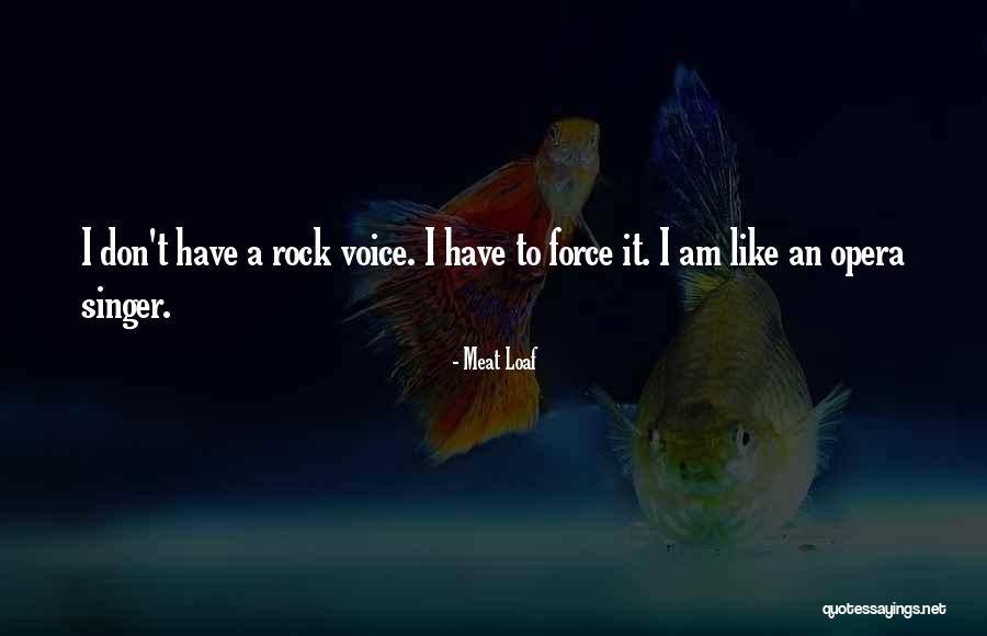 I Am A Singer Quotes By Meat Loaf I Am A Singer Quotes By Meat Loaf