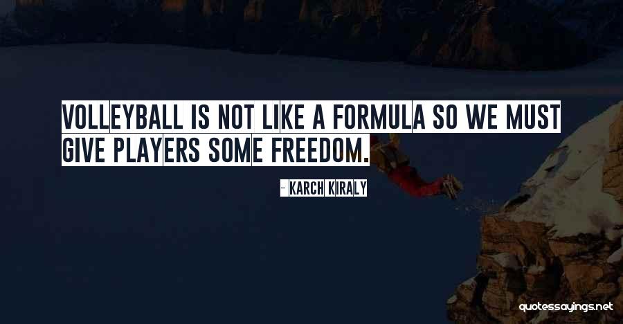 I Am A Volleyball Player Quotes By Karch Kiraly I Am A Volleyball Player Quotes By Karch Kiraly