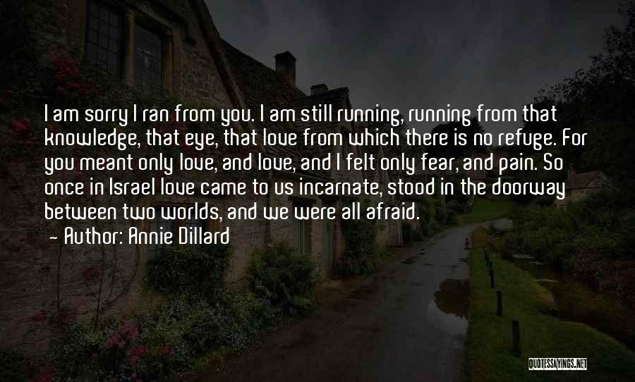 I Am Afraid To Love You Quotes By Annie Dillard