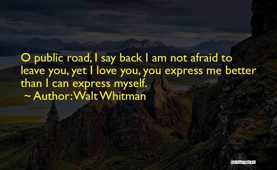 I Am Afraid To Love You Quotes By Walt Whitman