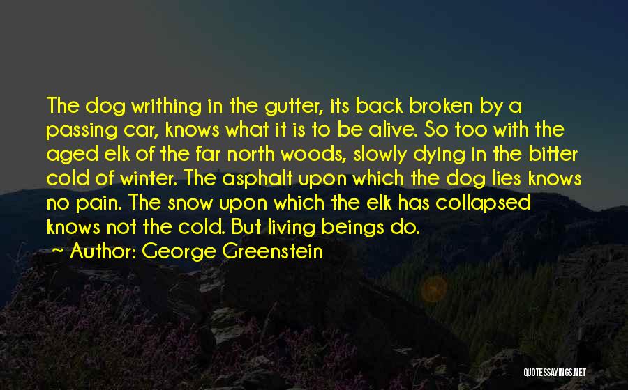 I Am Alive But Not Living Quotes By George Greenstein
