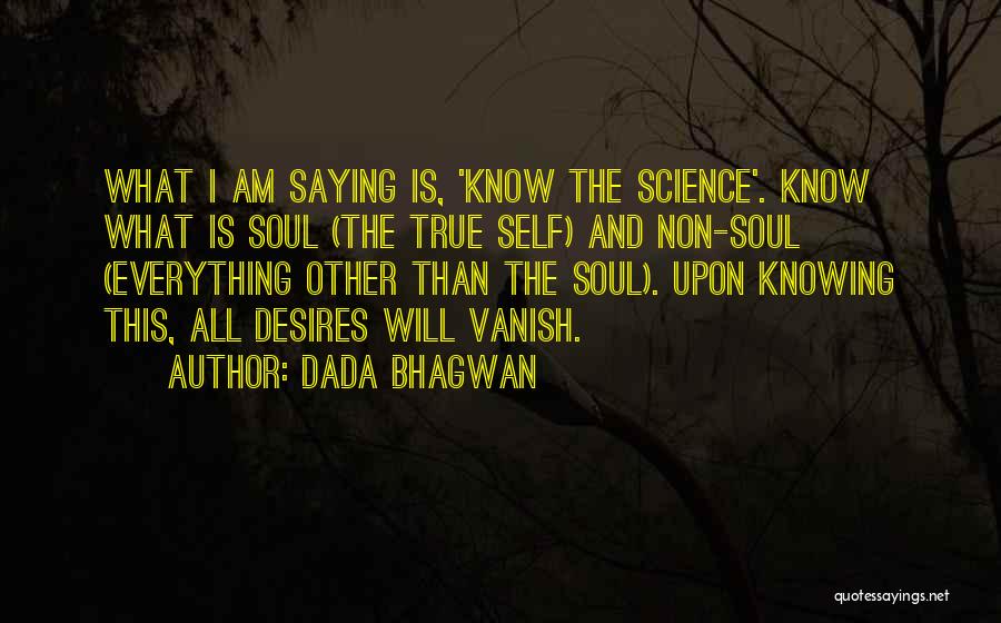 I Am All Knowing Quotes By Dada Bhagwan