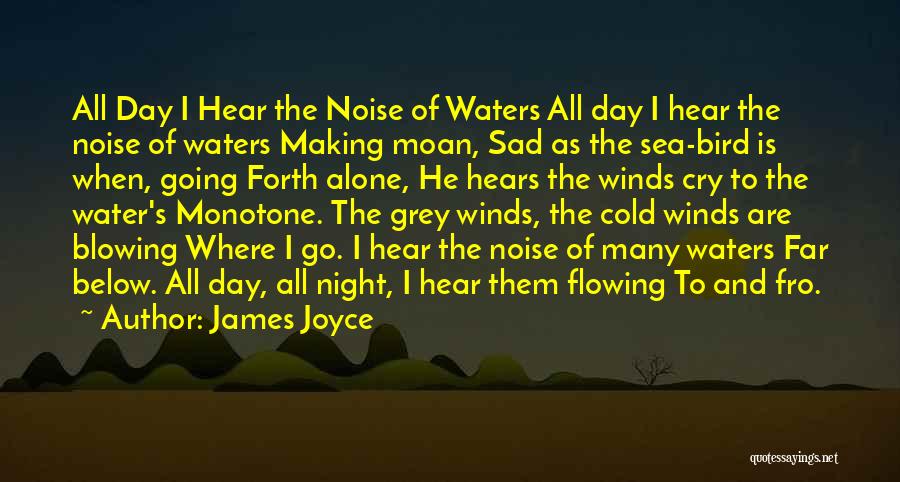 I Am Alone Sad Quotes By James Joyce