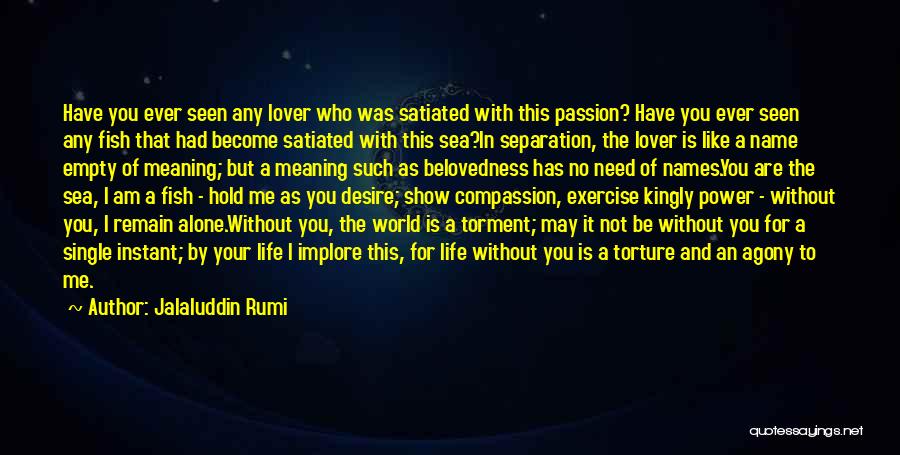 I Am Alone Without You Quotes By Jalaluddin Rumi