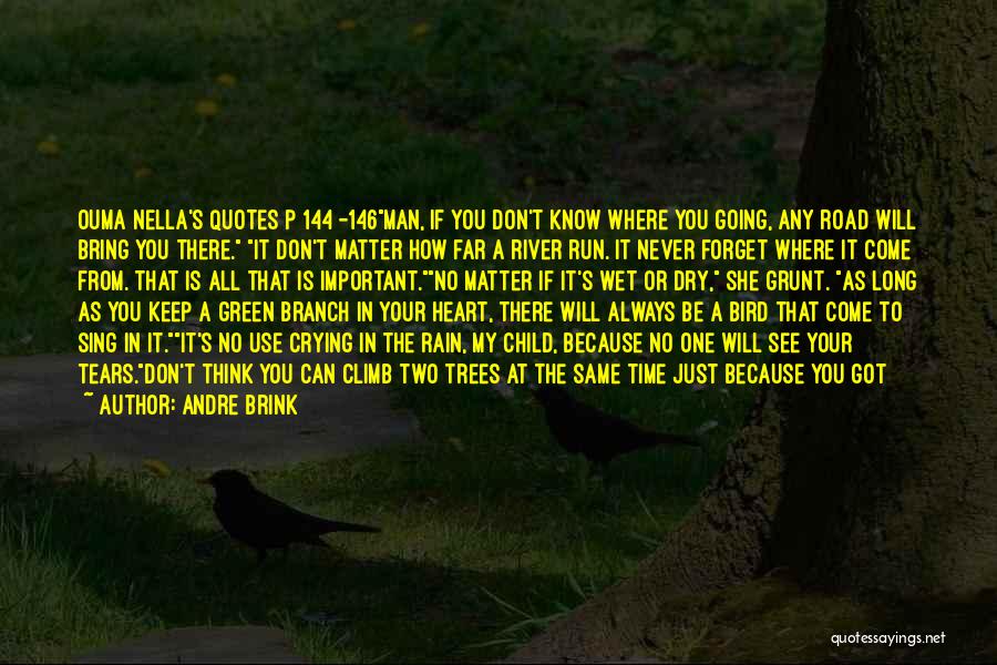 I Am Always There For You Quotes By Andre Brink