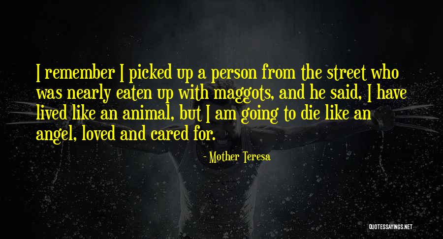 I Am An Angel Quotes By Mother Teresa I Am An Angel Quotes By Mother Teresa