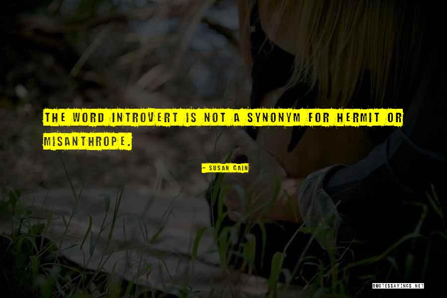 I Am An Introvert Quotes By Susan Cain