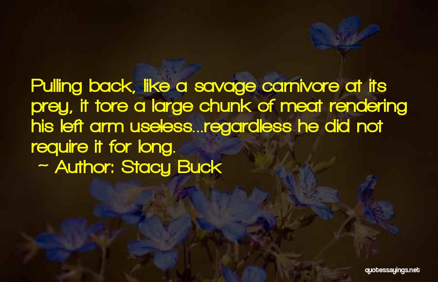 I Am Back In Action Quotes By Stacy Buck