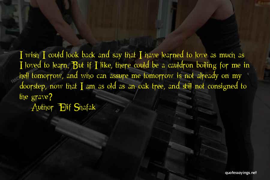 I Am Back Love Quotes By Elif Shafak