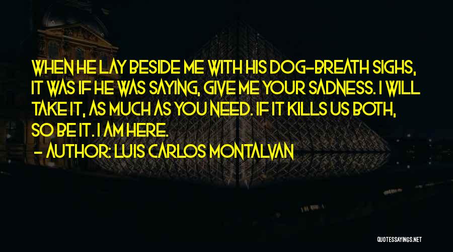 I Am Beside You Quotes By Luis Carlos Montalvan