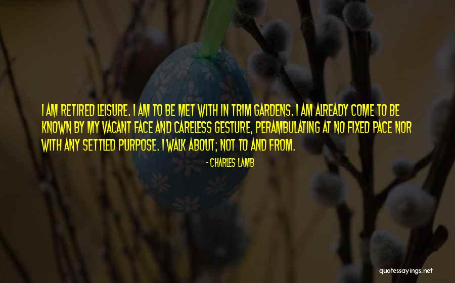 I Am Careless Quotes By Charles Lamb I Am Careless Quotes By Charles Lamb