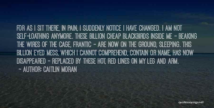 I Am Changed Now Quotes By Caitlin Moran