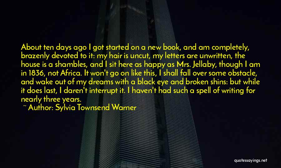 I Am Completely Broken Quotes By Sylvia Townsend Warner