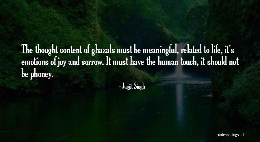 I Am Content With My Life Quotes By Jagjit Singh I Am Content With My Life Quotes By Jagjit Singh
