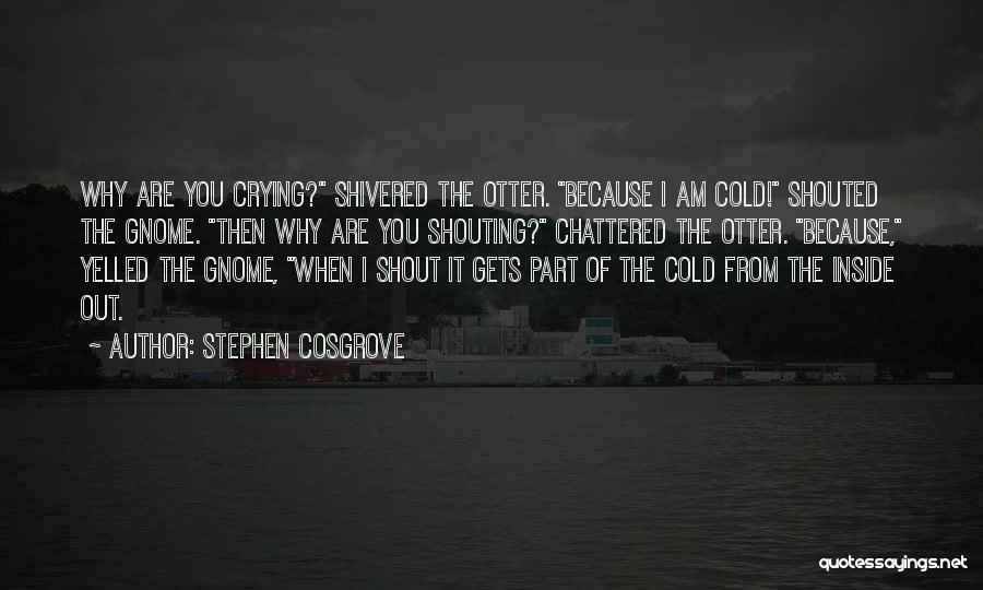 I Am Crying Quotes By Stephen Cosgrove