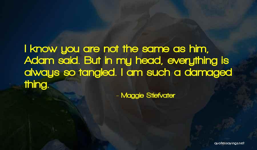 I Am Damaged Quotes By Maggie Stiefvater I Am Damaged Quotes By Maggie Stiefvater