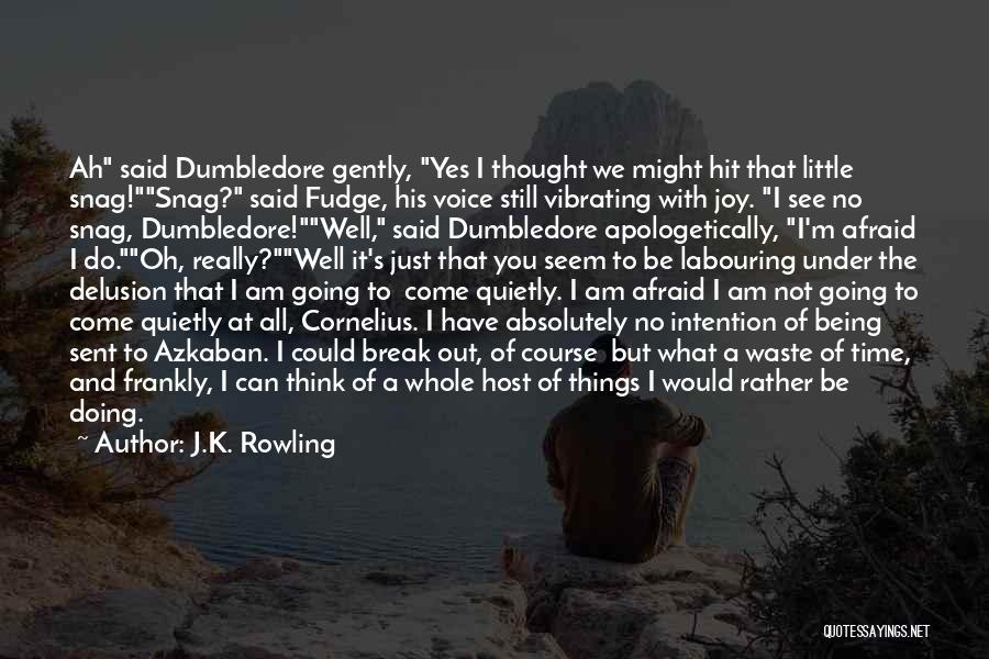 I Am Doing Well Quotes By J.K. Rowling