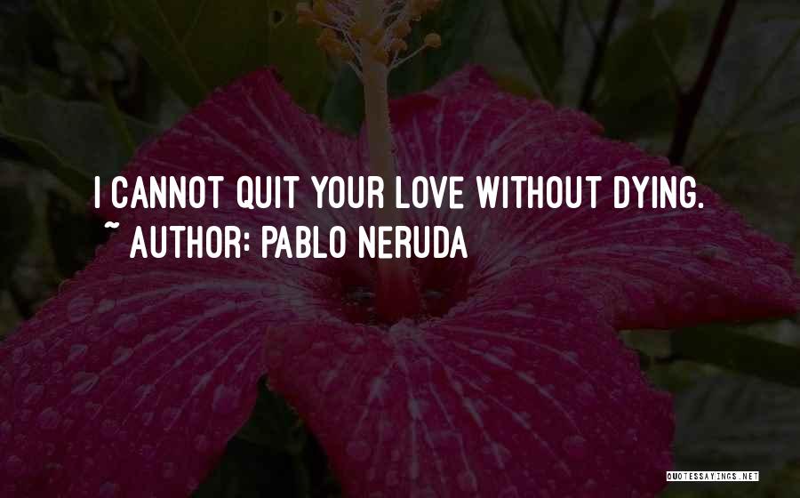 I Am Dying For Your Love Quotes By Pablo Neruda
