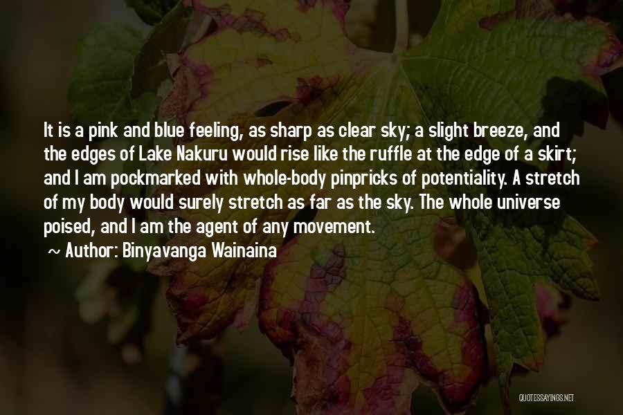 I Am Feeling Blue Quotes By Binyavanga Wainaina