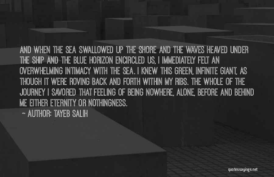 I Am Feeling Blue Quotes By Tayeb Salih