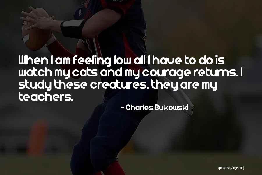 I Am Feeling Low Quotes By Charles Bukowski I Am Feeling Low Quotes By Charles Bukowski