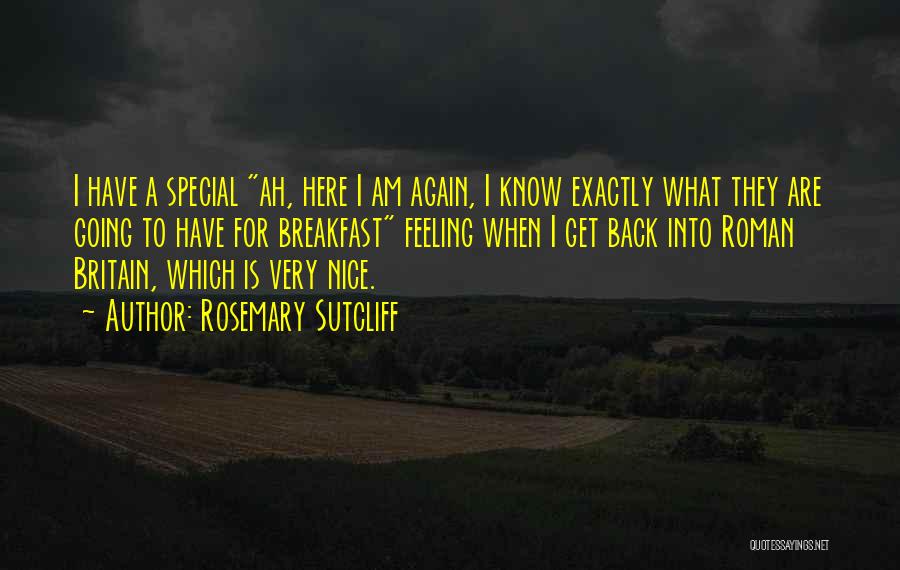 I Am Feeling Special Quotes By Rosemary Sutcliff