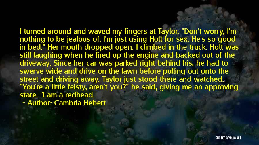 I Am Feisty Quotes By Cambria Hebert