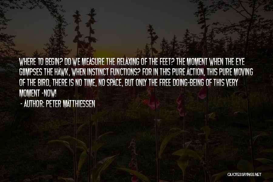 I Am Free Bird Quotes By Peter Matthiessen