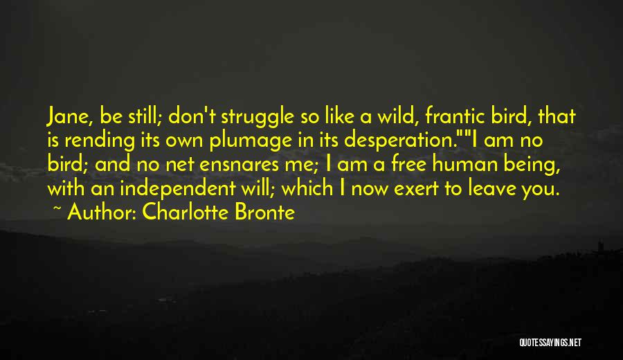 I Am Free Like A Bird Quotes By Charlotte Bronte