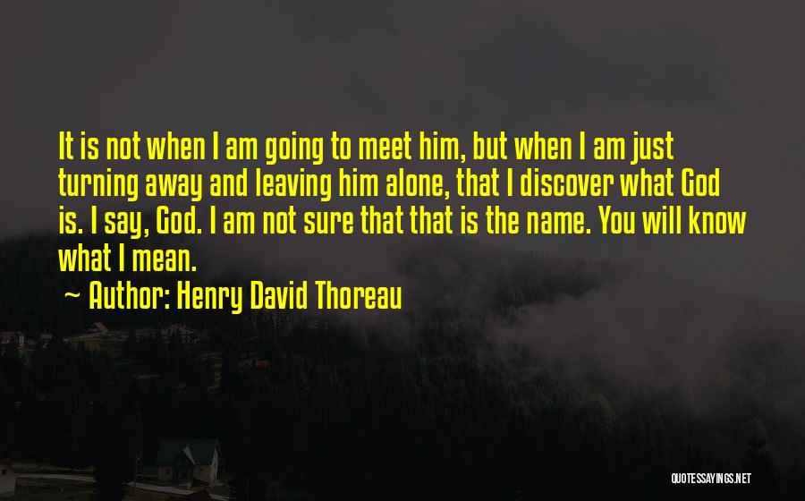 I Am Going Away Quotes By Henry David Thoreau
