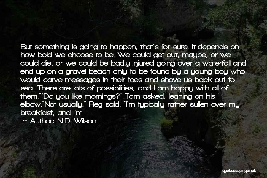 I Am Going To Be Happy Quotes By N.D. Wilson