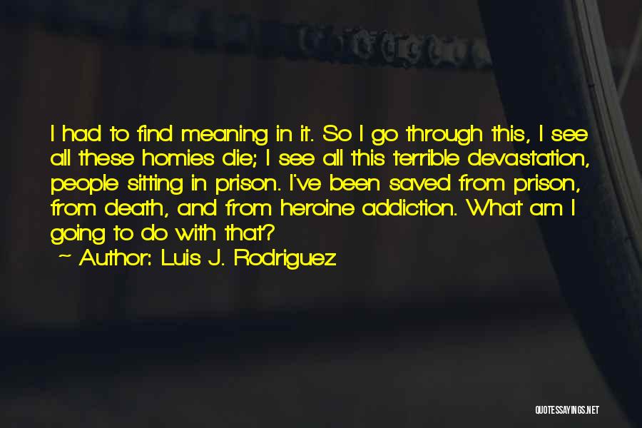 I Am Going To Die Quotes By Luis J. Rodriguez