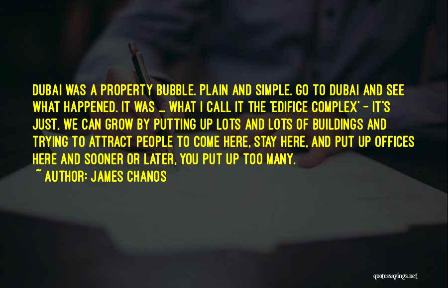 I Am Going To Dubai Quotes By James Chanos