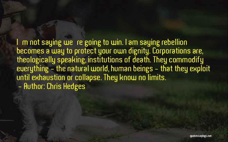 I Am Going To Win Quotes By Chris Hedges