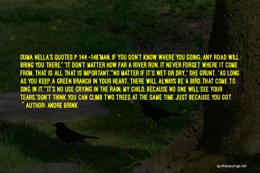 I Am Here For You Always Quotes By Andre Brink