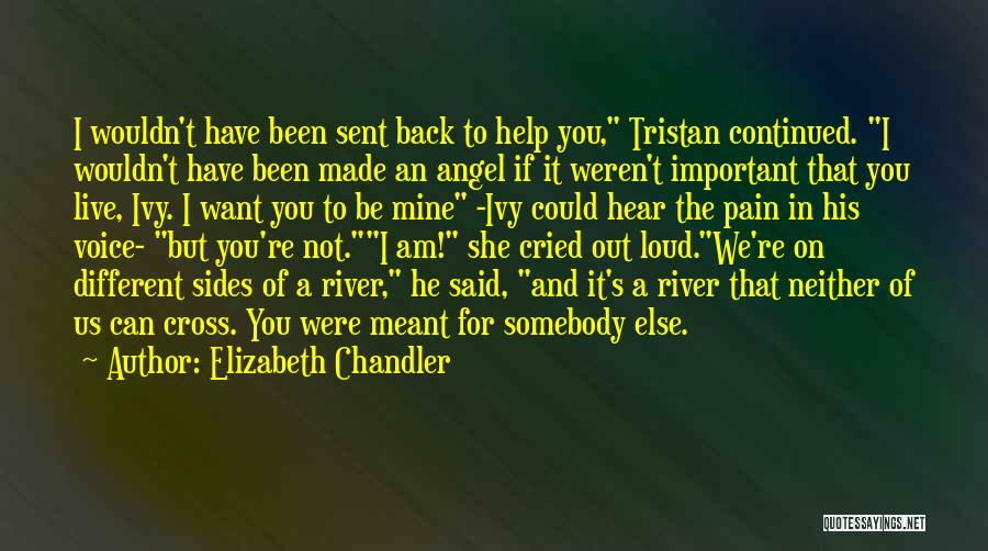 I Am His Angel Quotes By Elizabeth Chandler