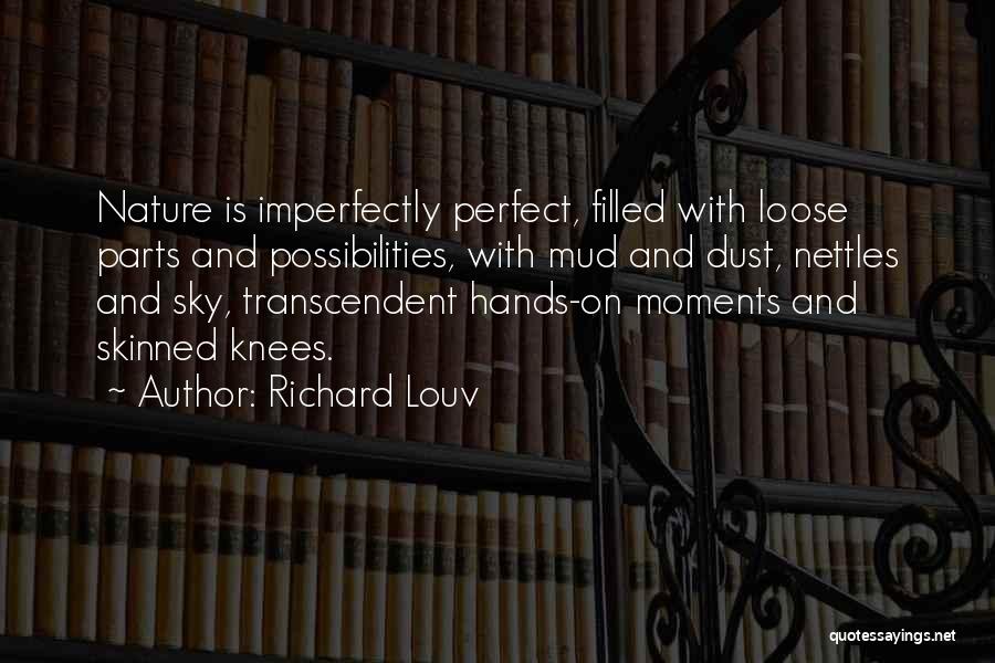 I Am Imperfectly Perfect Quotes By Richard Louv