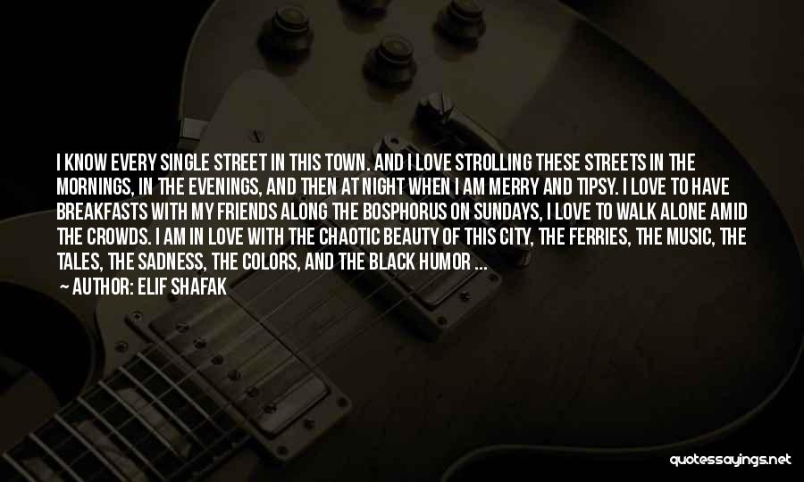 I Am In Love With Music Quotes By Elif Shafak