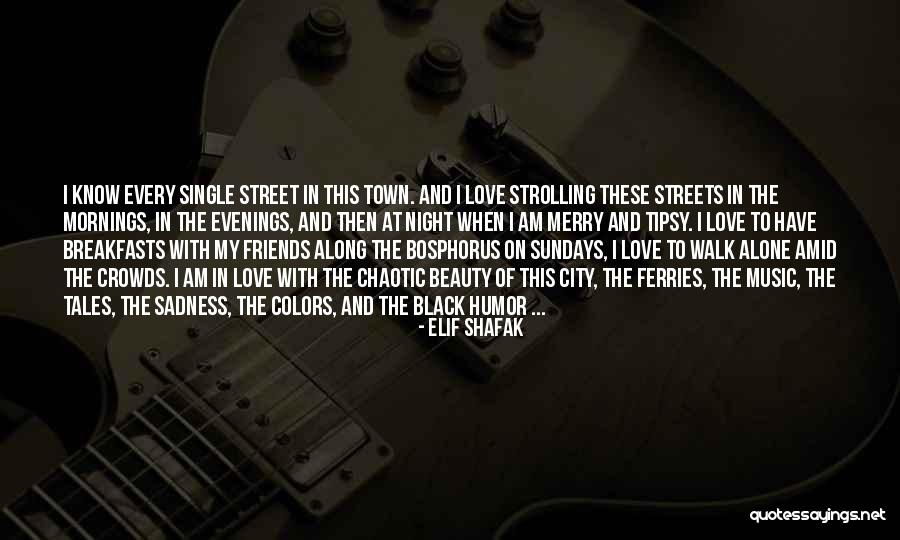 I Am In Love With Music Quotes By Elif Shafak