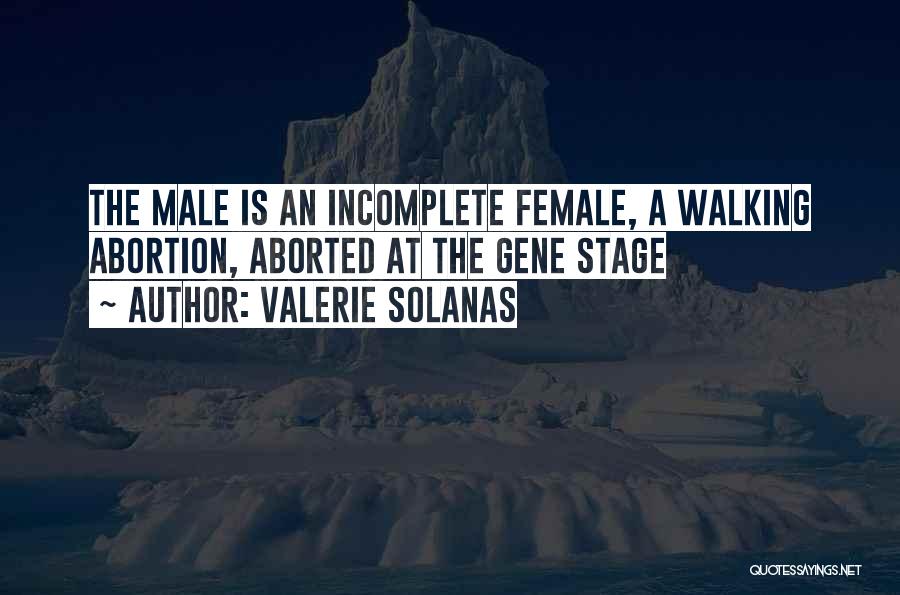 I Am Incomplete Quotes By Valerie Solanas