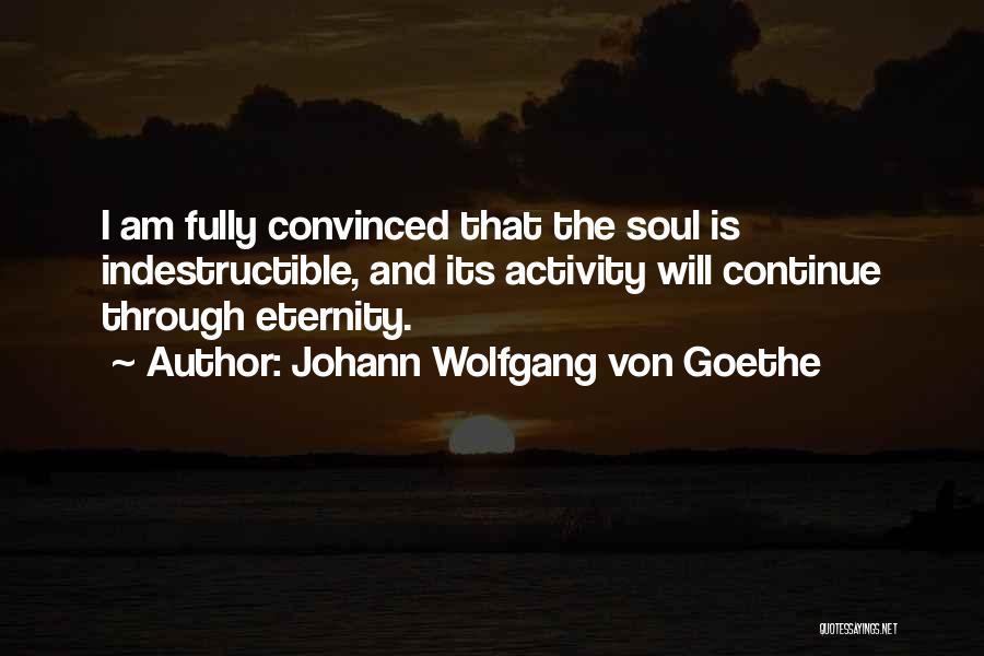I Am Indestructible Quotes By Johann Wolfgang Von Goethe