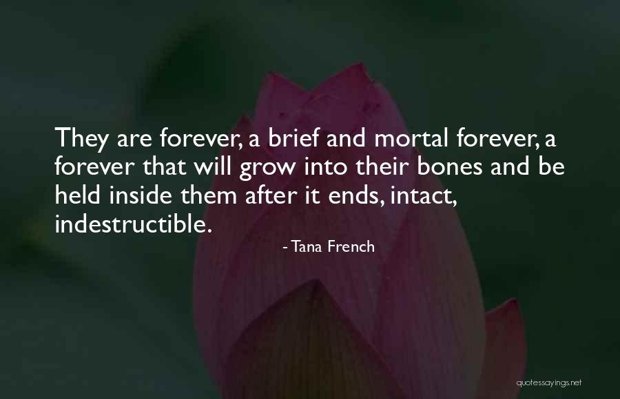 I Am Indestructible Quotes By Tana French