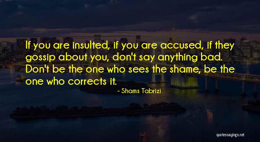 I Am Insulted Quotes By Shams Tabrizi I Am Insulted Quotes By Shams Tabrizi