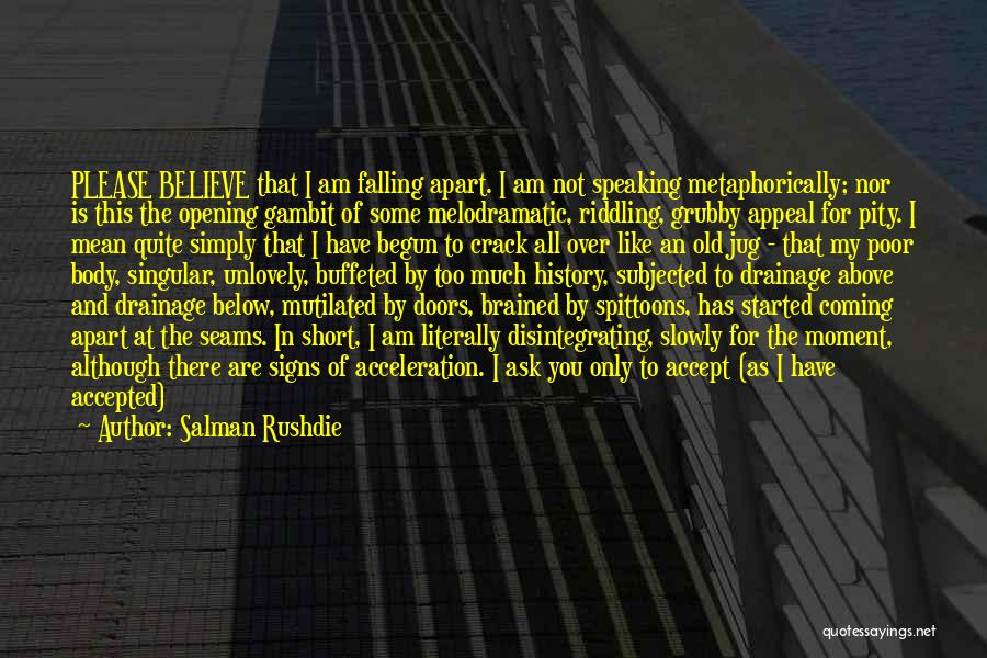 I Am Into You Quotes By Salman Rushdie